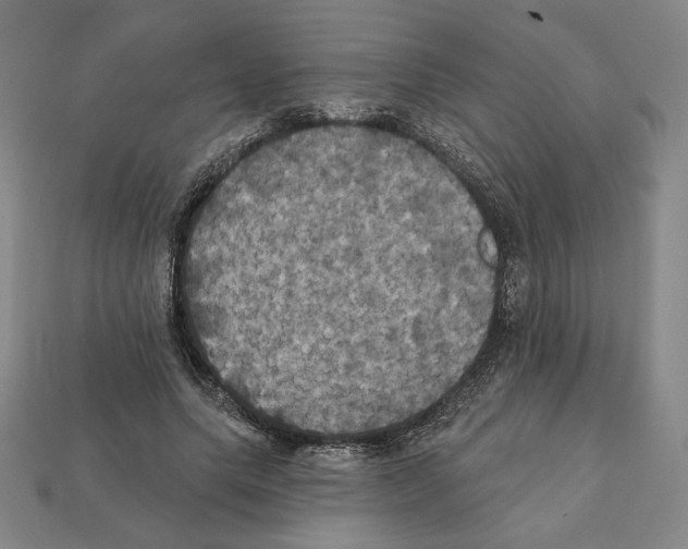X0000112030639200909141057