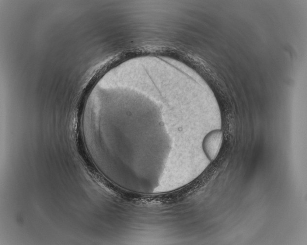 X0000112030640200909141057