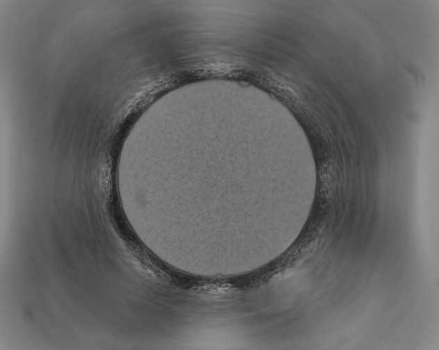 X0000112030642200909141057