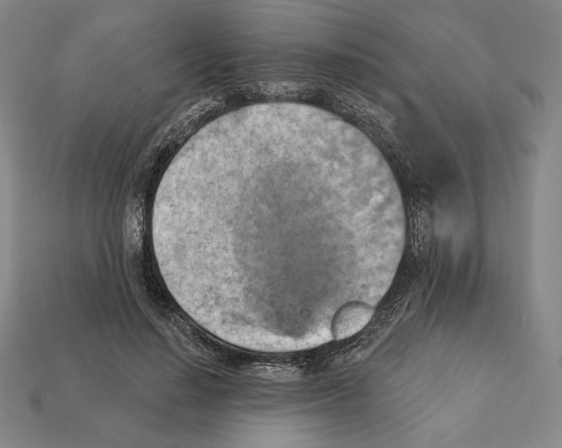 X0000112030644200909141057