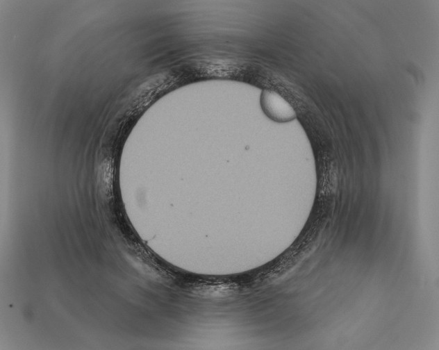 X0000112030646200909141057