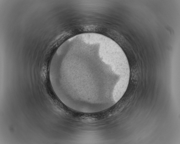 X0000112030648200909141057