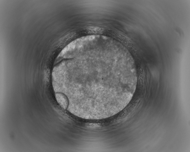 X0000112030649200909141057