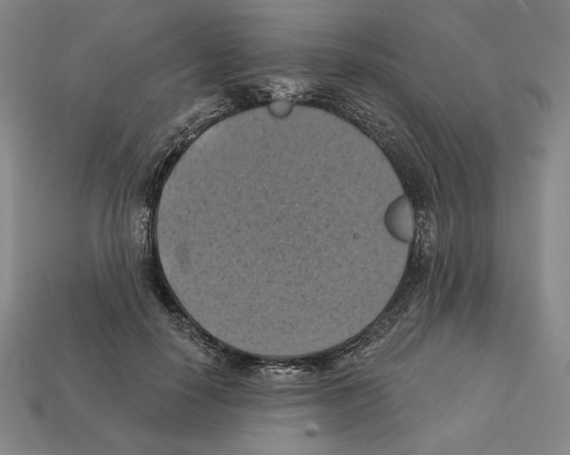 X0000112030650200909141057
