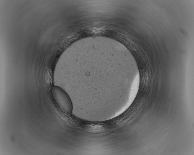X0000112030651200909141057