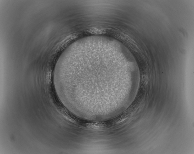 X0000112030652200909141057