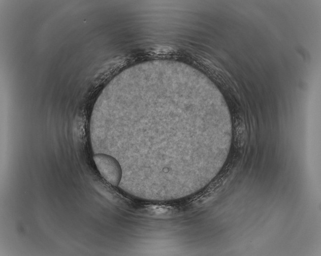 X0000112030654200909141057