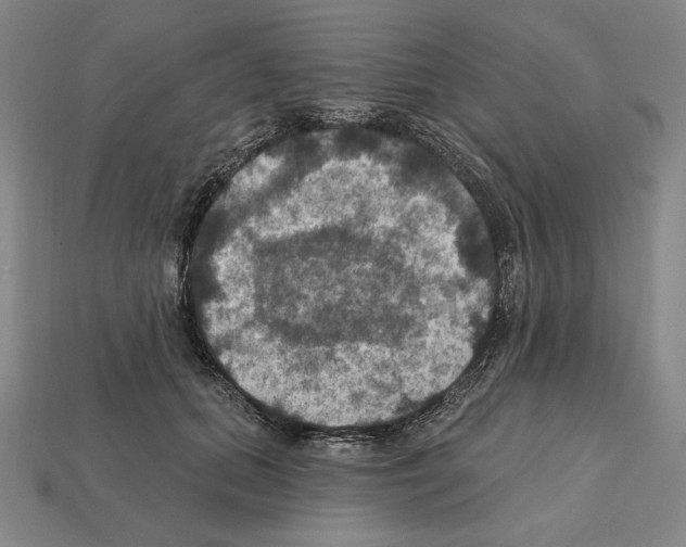 X0000112030655200909141057