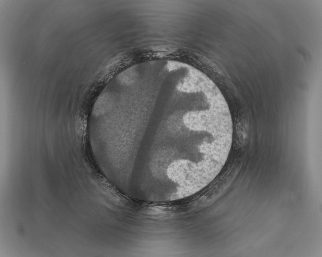 X0000112030657200909141057