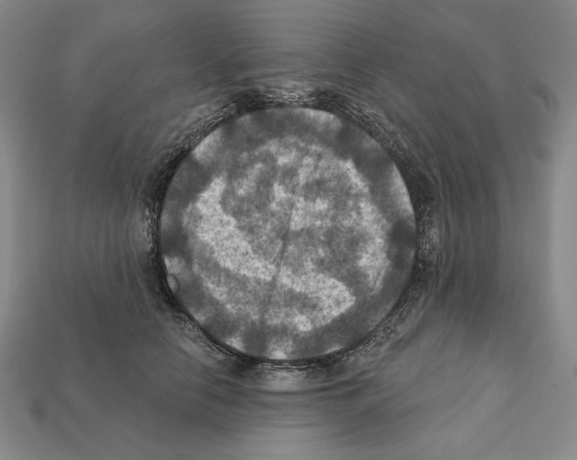 X0000112030658200909141057