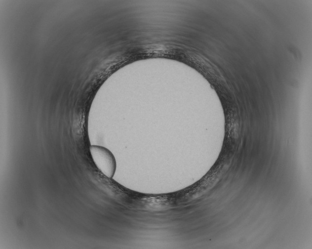 X0000112030660200909141057
