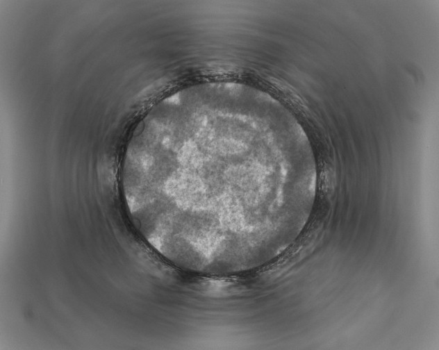 X0000112030662200909141057