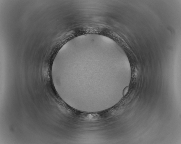 X0000112030663200909141058