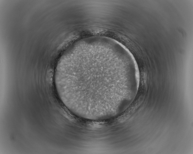 X0000112030664200909141058