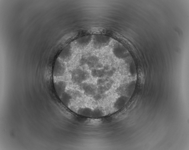 X0000112030665200909141058