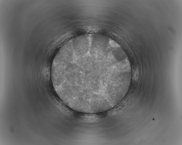 X0000112030666200909141058