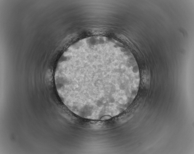 X0000112030667200909141058