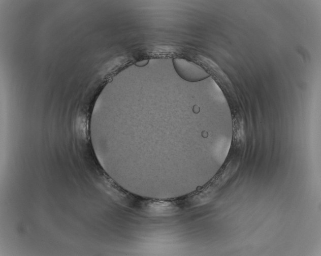 X0000112030669200909141058