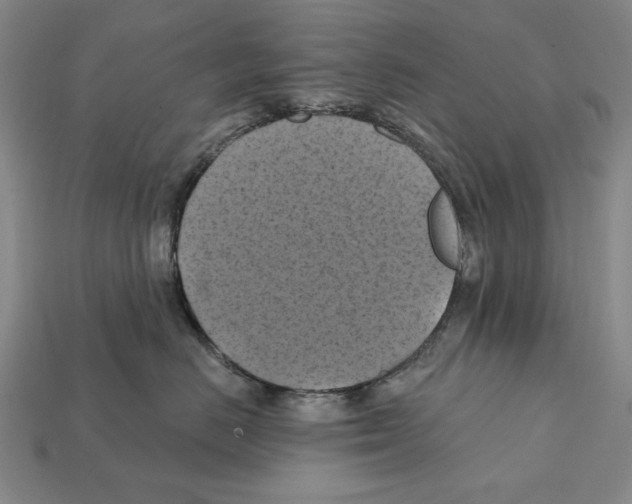 X0000112030670200909141058