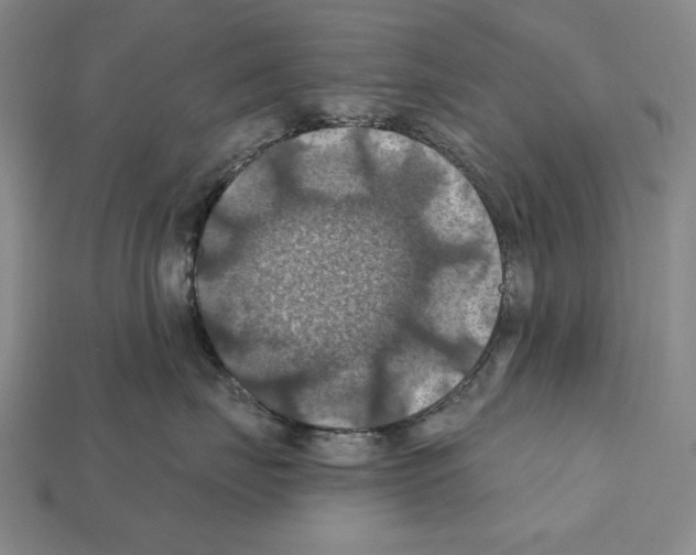 X0000112030671200909141058