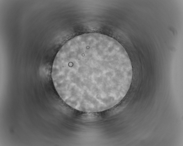 X0000112030672200909141058