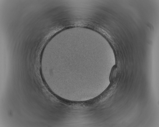 X0000112030673200909141057