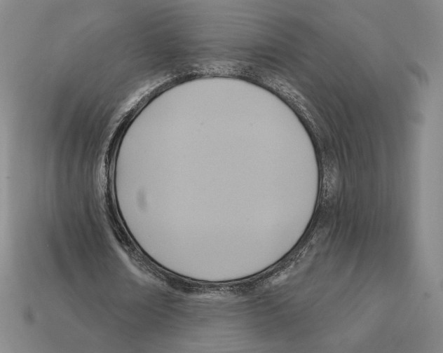 X0000112030674200909141057