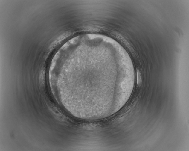 X0000112030675200909141057