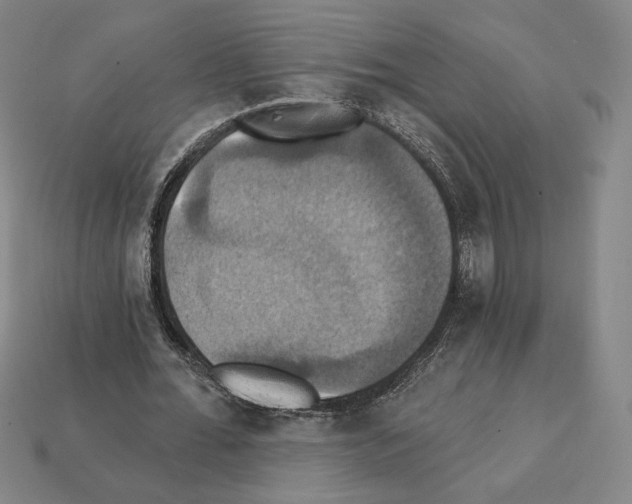X0000112030676200909141057
