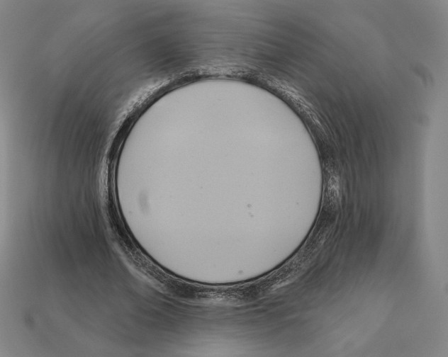 X0000112030678200909141057