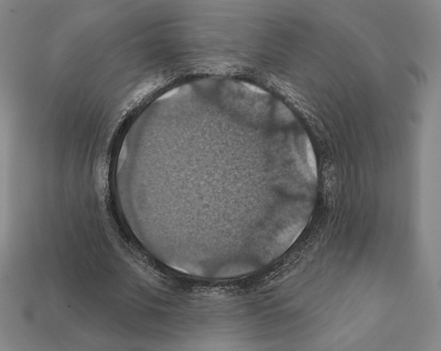 X0000112030679200909141057