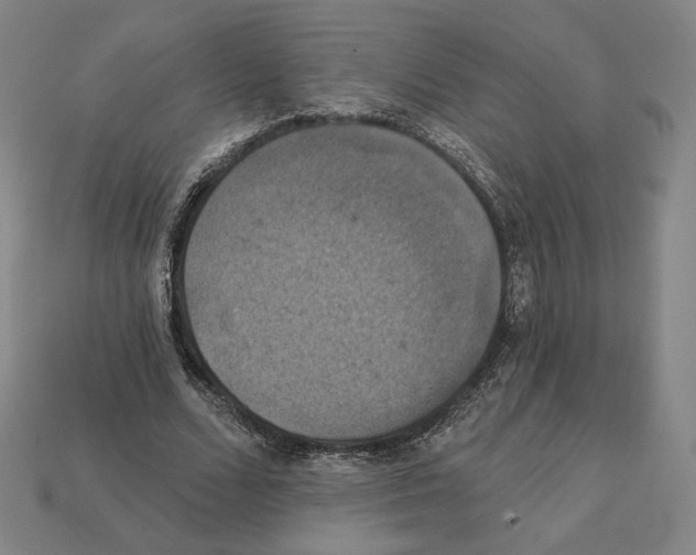 X0000112030680200909141057