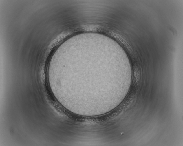 X0000112030682200909141057