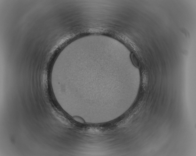 X0000112030684200909141057