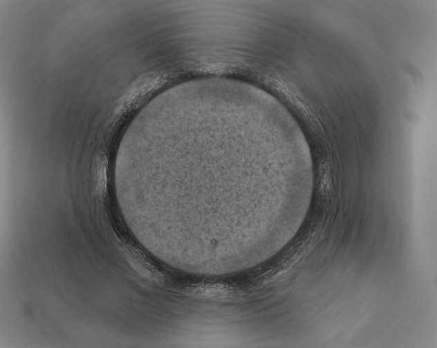 X0000112030685200909141057