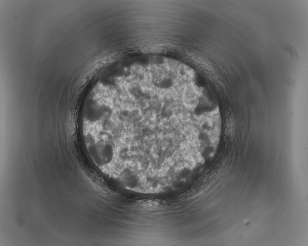 X0000112030687200909141057