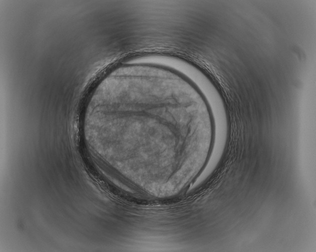 X0000112030688200909141057