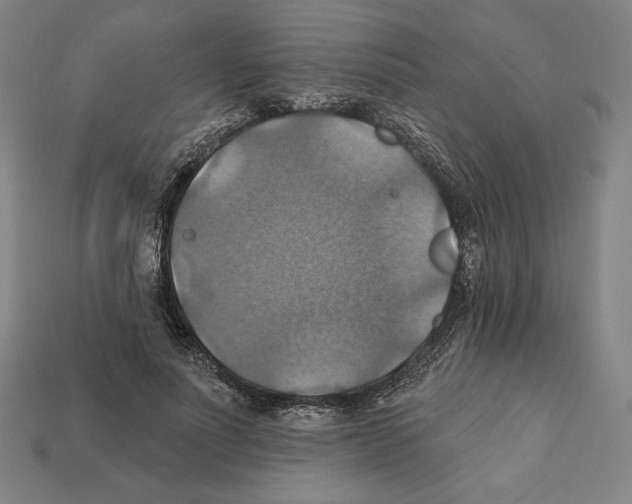X0000112030691200909141057