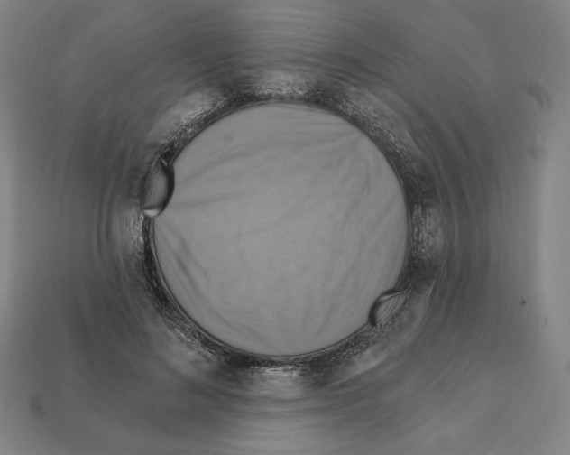 X0000112030692200909141057