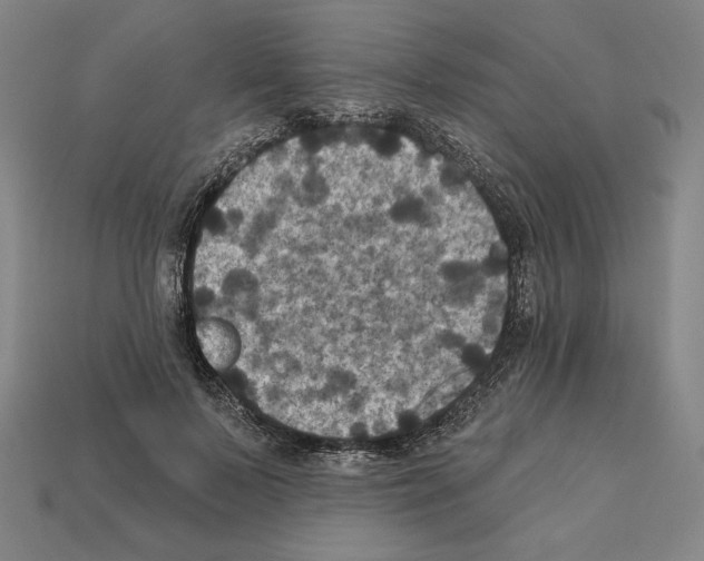 X0000112030695200909141057