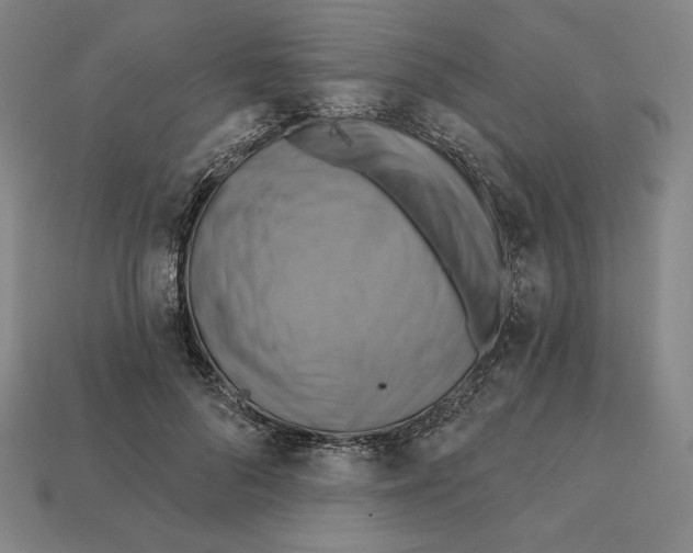 X0000112030696200909141057