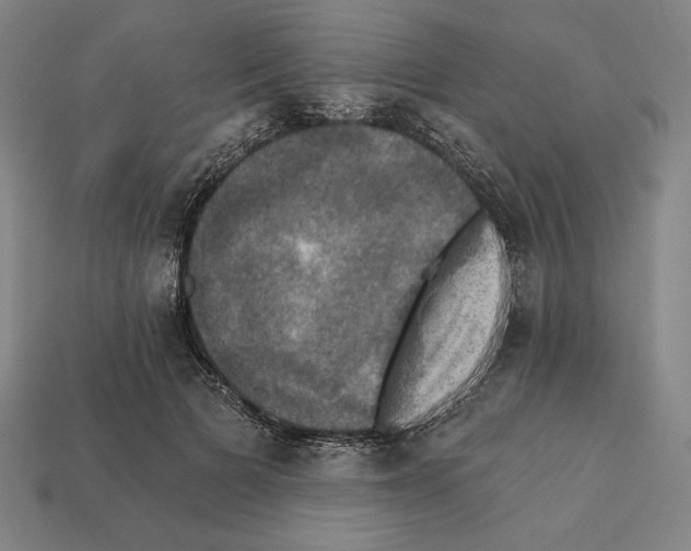 X0000112030697200909141057