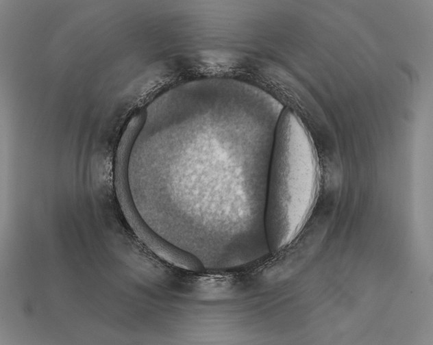 X0000112030700200909141056