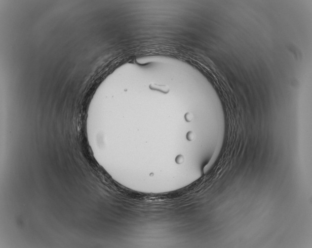 X0000112030701200909141056