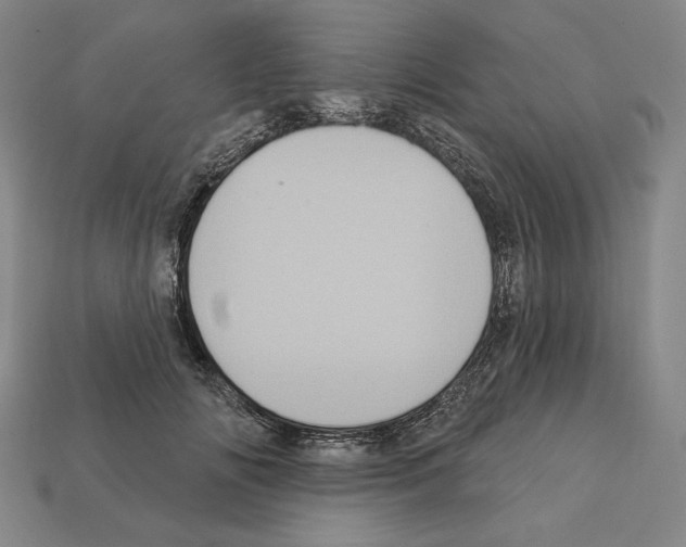 X0000112030702200909141056