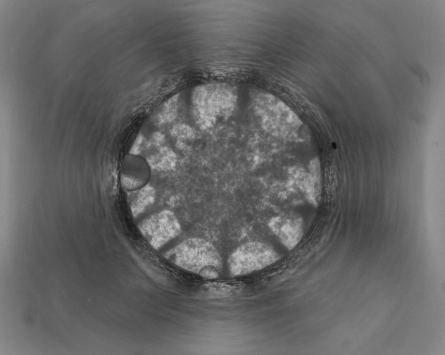 X0000112030703200909141056