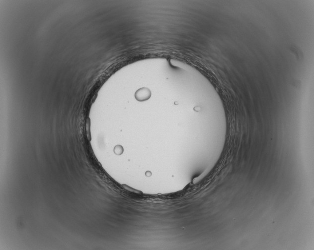X0000112030708200909141056