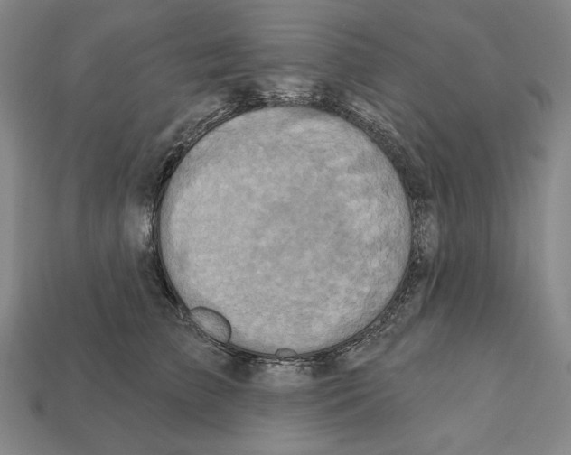 X0000112030709200909141056