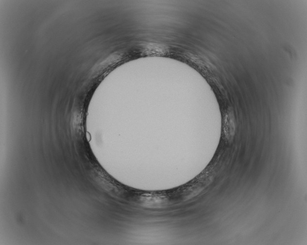 X0000112030714200909141056