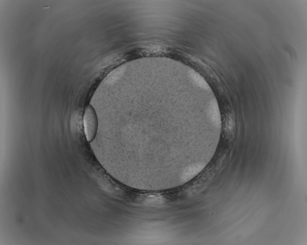 X0000112030715200909141056